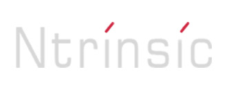 NTRINSIC CONSULTING SRL